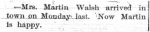 LadiesNews16Dec1882p3c1