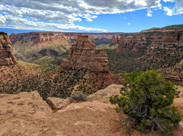 a vista of the red rock of the Colorado National Monument