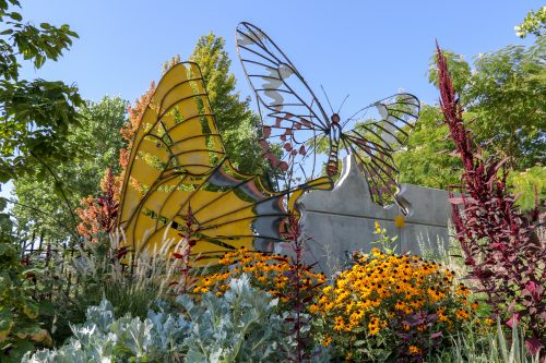 metal butterfly sculpture from exterior of the Botanical Gardens