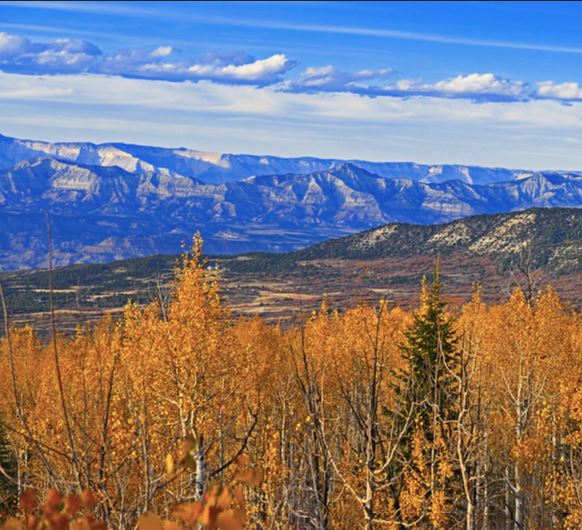 Grand Mesa during fall time. 