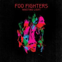 Wasting Light book cover 