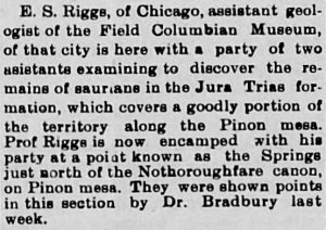 ID: Newspaper clipping from the Daily Sentinel dated to June 25, 1900, discussing the local expedition of paleontologist Elmer S. Riggs near Fruita, CO. Riggs unearthed many groundbreaking fossil discoveries and contributed greatly to Fruita's image as a hotbed of paleontology. The clipping reads: "E. S. Riggs, of Chicago, assistant geologist of the Field Columbian Museum of that city is here with a part of two assistants examining to discover the remains of saurians in the Jura Trias formation, which covers a goodly portion of the territory along the Piñon mesa. Professor Riggs is now encamped with his part at a point known as the Springs just north of the No thoroughfare canyon on Piñon mesa. They were shown points in this section by Dr. Bradbury last week."