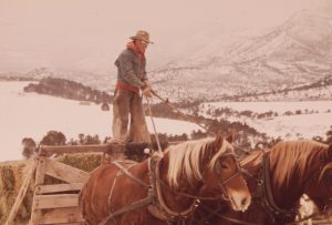 [Photo ID]: Rancher Frank Starbuck stands on a horse drawn wagon with bundles of hay, in front of a snow-covered landscape near Rifle, Colorado. Frank managed 400 cattle entirely by himself because it was too expensive to hire help.