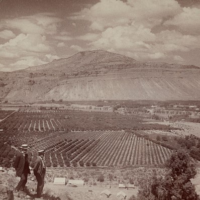 Palisade Peaches: Delicious Colorado History