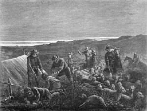 Engraving from an 1877 edition of the Harper's Weekly magazine depicting an incident from the Sheep Wars in Colorado. Two herders are held at gunpoint while several men beat and shoot at their sheep.